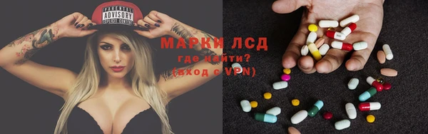 сатива Дмитровск