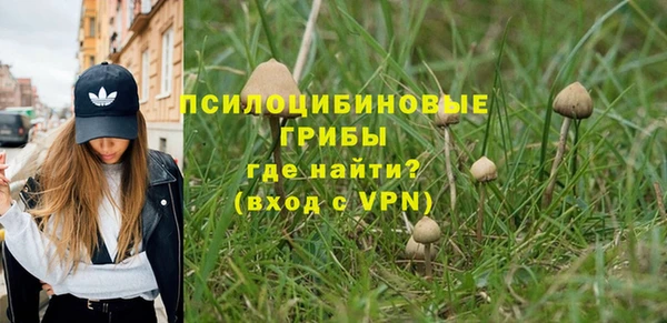 сатива Дмитровск
