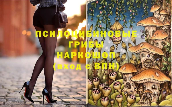 ГАЛЛЮЦИНОГЕННЫЕ ГРИБЫ Новокубанск