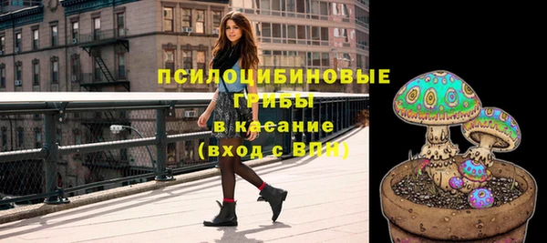 сатива Дмитровск