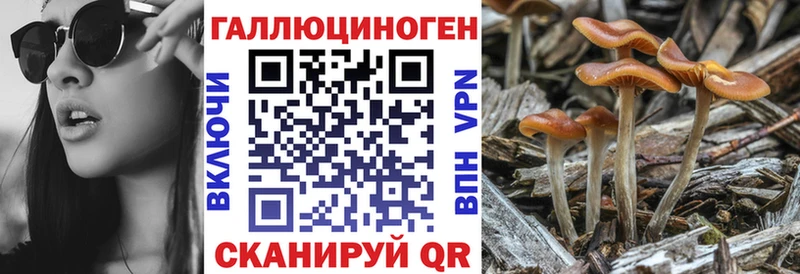 blacksprut сайт  Нязепетровск  Псилоцибиновые грибы GOLDEN TEACHER  хочу наркоту 